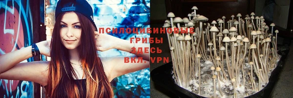 тгк Абдулино